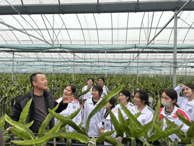 j9.com-(中国区)九游会j9官方网站
